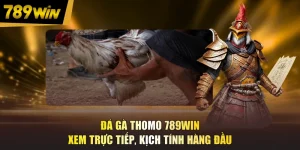 Đá Gà Thomo 789WIN - Xem Trực Tiếp, Kịch Tính Hàng Đầu