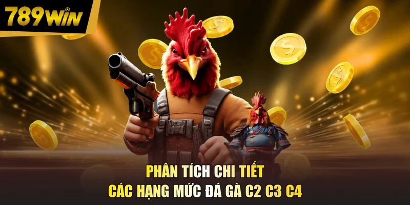 Phân tích chi tiết các hạng mức đá gà C2 C3 C4