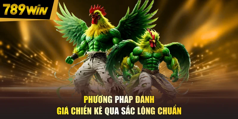 Phương pháp đánh giá chiến kê qua sắc lông chuẩn