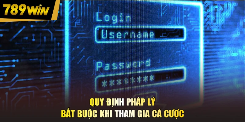 Quy định pháp lý bắt buộc khi tham gia cá cược