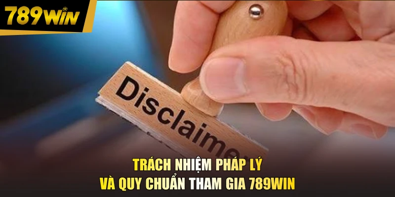 Trách nhiệm pháp lý và quy chuẩn tham gia 789WIN