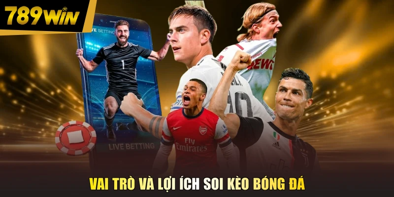 Vai trò và lợi ích soi kèo bóng đá